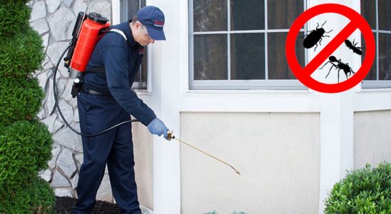 Vakfıkebir Böcek İlaçlama böcek ilaçlama ve haşere kontrolü — ilaclama-tr.com